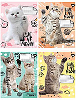 Зошит А5 12 Кл. YES "Live love meow" 765496