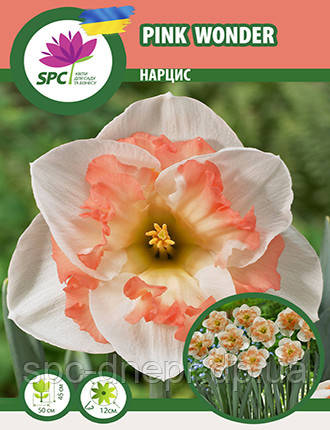 Нарцис спліт-корона Pink Wonder