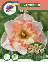 Нарцис спліт-корона Pink Wonder