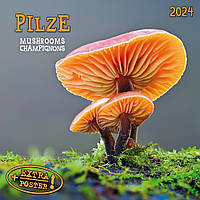 Настенный календарь 2024 год. Pilze - Mushrooms - Champignons