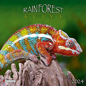 Настінний календар 2024 рік. Rainforest Alive