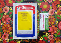 Насіння капусти Ендуро F1 (Takii Seed), 2 500 насінин рання (60-62 дні), пекінська, для другого обороту
