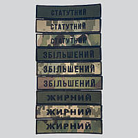 Шеврон Фамилия НГУ (МВД), позывной (пиксель, олива, мультикам, черный кант) на липучке