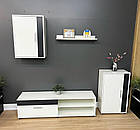 Сучасна стінка у вітальню - модульна стінка з 4-х елементів, фото 2