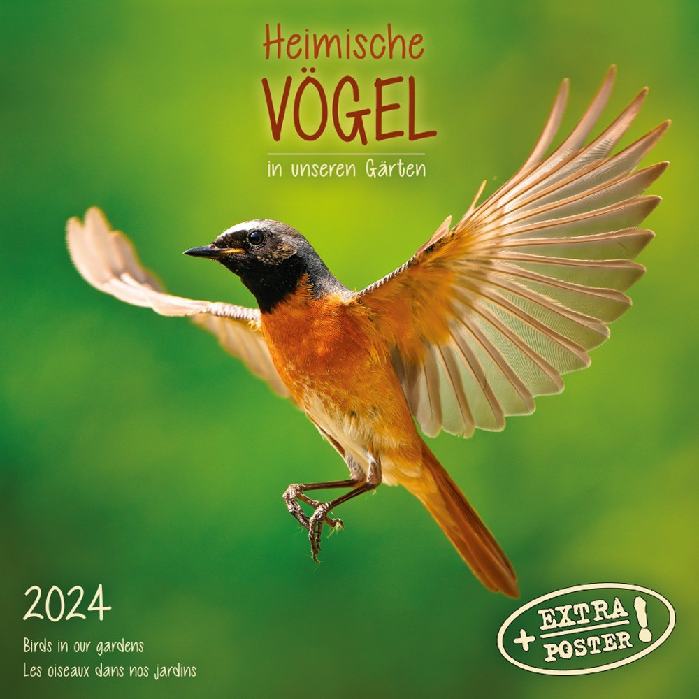 Настінний календар 2024 рік. Heimische Vögel