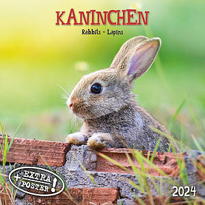 Настінний календар 2024 рік. Rabbits