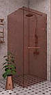 Двері з тонованного скла в кабіні душа, фото 2