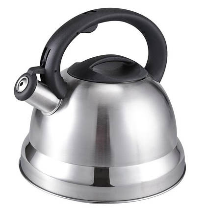 Чайник із свистком із нержавіючої сталі Benson BN-709 3 л, фото 1