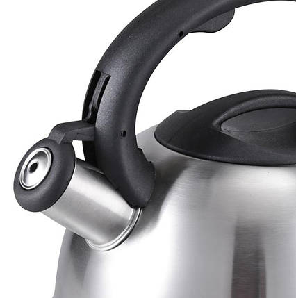 Чайник із свистком із нержавіючої сталі Benson BN-709 3 л, фото 2