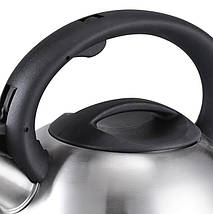 Чайник із свистком із нержавіючої сталі Benson BN-709 3 л, фото 4