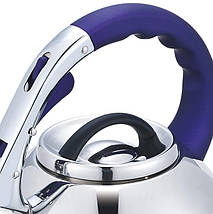 Чайник із свистком із нержавіючої сталі Benson BN-711 3 л фіолетова ручка, фото 3