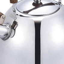 Чайник із свистком із нержавіючої сталі Benson BN-712 2,5 л, фото 4