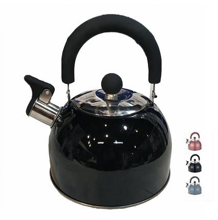 Чайник із свистком із нержавіючої сталі Benson BN-718 2 л кольори, фото 1