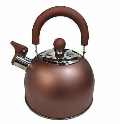 Чайник із свистком із нержавіючої сталі Benson BN-718 2 л кольори, фото 2