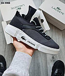 Чоловічі кросівки Lacoste Gray, фото 3