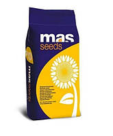 Семена Подсолнечника Maisadour MAS 85SU Майсадур MAC 85СУ под Гранстар