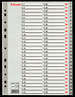 Розділювачі сторінок пластикові Esselte, РР, А4, цифрові 1-54