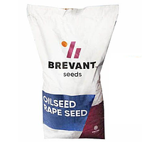 Озимий рапс семена ПХ131 (Brevant)