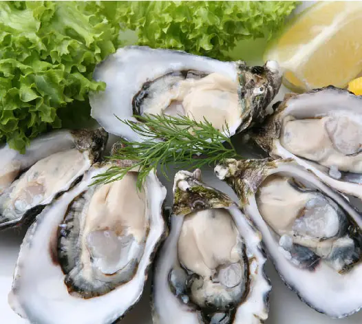 Устриці українські Скіфії, №1 (мінім замовл від 24 штук), фото 1