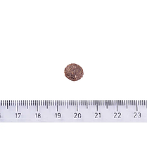 Сухий корм для цуценят всіх порід Brit Care Dog Hypoallergenic Puppy гіпоалергенний (ягня) 3 кг, фото 4