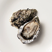 Устриці special de clere, Чорна Королева розмір №3 (мінім замовлення від 24 штук)