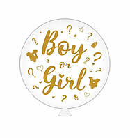 Латексна кулька гігант Sharoff "Boy or Girl " золотий друк, білий, сірий, Арт.43365