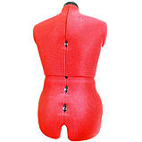 Манекен жіночий розсувний Adjustoform Tailormaid A 42-52, фото 3