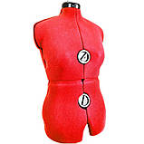 Манекен жіночий розсувний Adjustoform Tailormaid A 42-52, фото 4