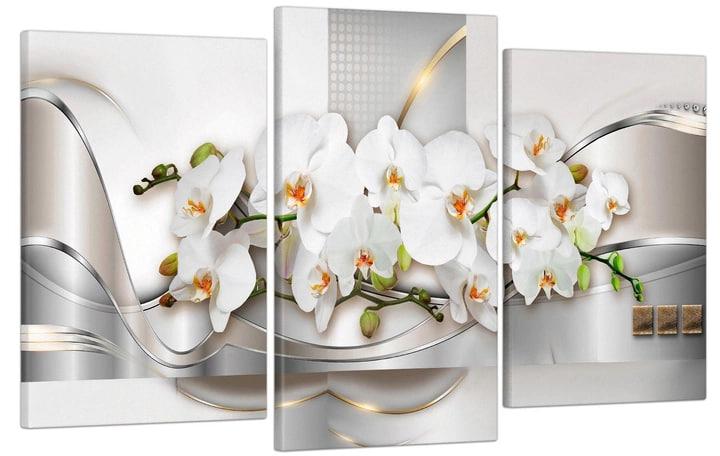 Модульна картина на полотні на стіну для інтер`єру/спальні/прихожої DK Квіти Орхідеї 100х53 см (MK30278_E)