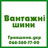 Вантажні шини