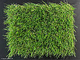 Штучна трава Jakarta 30 - ширина 2 і 4 метри /безкоштовна доставка/, фото 6