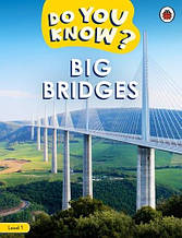 Big Bridges Level 1