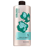 Питательный шампунь 10в1 Elgon Sublimia Hair DD Shampoo, 1000 мл