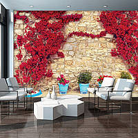 Обои фото в интерьере 368x254 см Красные цветы на каменной коричневой стене (3579P8)+клей