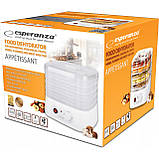 Дегідратор, сушарка для овочів та м'яса Esperanza EKD004 (250 Вт, до 75°С, напівавтоматична, 4 лотків), фото 4