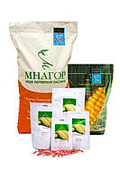 Солодка кукуруза Мнагор Цукрова кукурудза Білий Кролик (Монблан) F1, Sh2, молочно-біле зерно (4000 насінин)