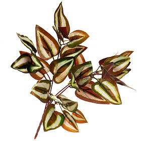 Гілка Зебрини, 34 см ELISEY