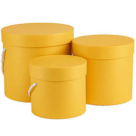 Набір з 3 коробок "Сонячні дива" ELISEY