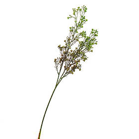 Гілка сухоцвіту польового зелена ELISEY
