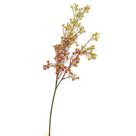 Гілка сухоцвіту польового помаранчева ELISEY