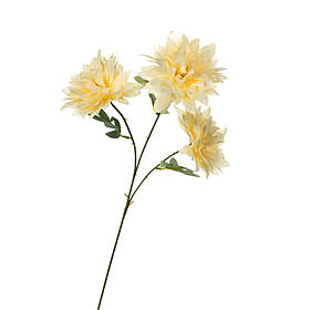 Хризантема, кремова ELISEY