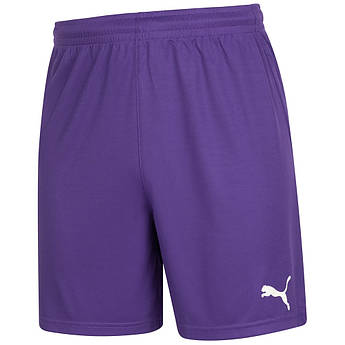 Чоловічі воротарські шорти PUMA 740209-03, Фіолетовий, Розмір (EU) — M