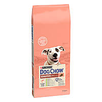 Сухой корм для взрослых собак склонных к аллергии Dog Chow Sensitive Adult с лососем 14 кг