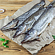 Щука в ялена, з Вилкове, 200-400гр/шт - фото 1 - id-p1600863366