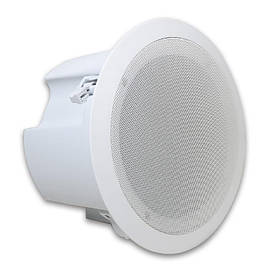 CS-0410 Двосмуговий стельовий динамік