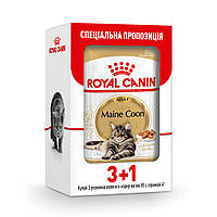 Акция!3+1!Влажный корм для взрослых кошек ROYAL CANIN MAINE COON ADULT 3+1шт в подарок!