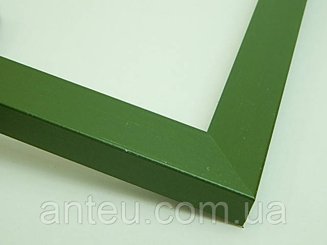 Рамка А2 (420х594).20 мм.Зелений.Пластик.Для фотографій,плакатів,постерів,картин