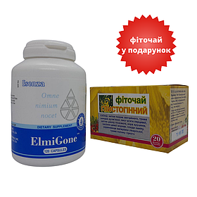Набір Ельмігон (ElmiGone) Santegra  + Фіточай глистогінний 1,5 гр 20 фильтр-пакетов