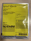 Капуста Агресор F1 2500 н. фракція 1,75-2,00 мм Syngenta, фото 2