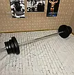 Лавка для жиму + Штанга із прямим грифом 50 кг Гантелі, гирі, штанги та диски АВС пластик комплект, фото 9